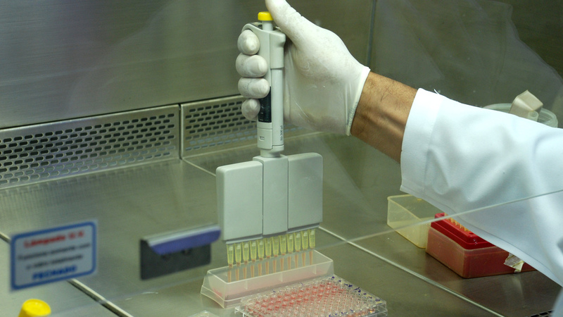 Pesquisas no Laboratório de Virologia do IPVDF
